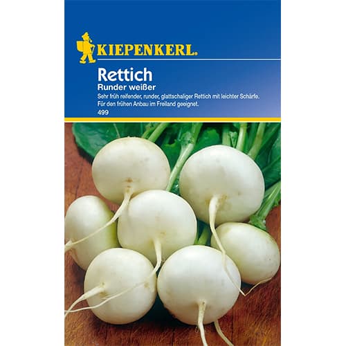 Rzodkiew biala Runder interface.image 1 interface.art 87290