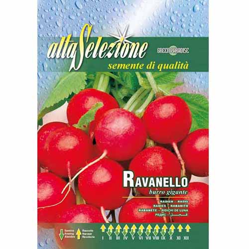 Rzodkiewka Burro gigante Morami interface.image 1 interface.art 96393