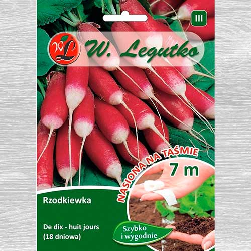 Rzodkiewka  De dix-huit jours ( 18 dniowa )  interface.image 1 interface.art 69440