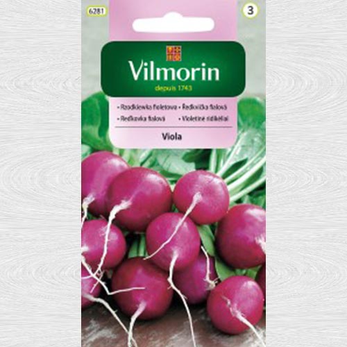 Rzodkiewka fioletowa Viola interface.art zdjęcie 1 Rzodkiewka fioletowa Viola interface.image 1 interface.art 69711
