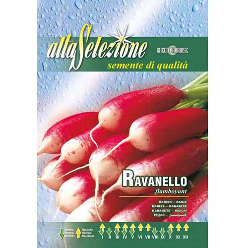 Rzodkiewka Flamboyant Morami interface.image 1 interface.art 96394