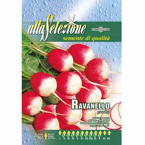 Rzodkiewka Gaudry Morami interface.image 1 interface.art 96395