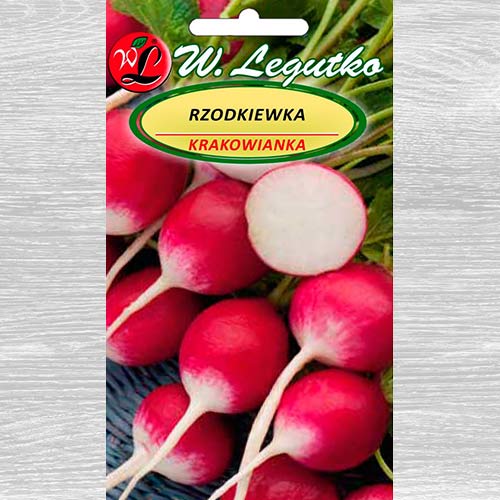 Rzodkiewka Krakowianka  interface.art zdjęcie 1 Rzodkiewka Krakowianka  interface.image 1 interface.art 69441