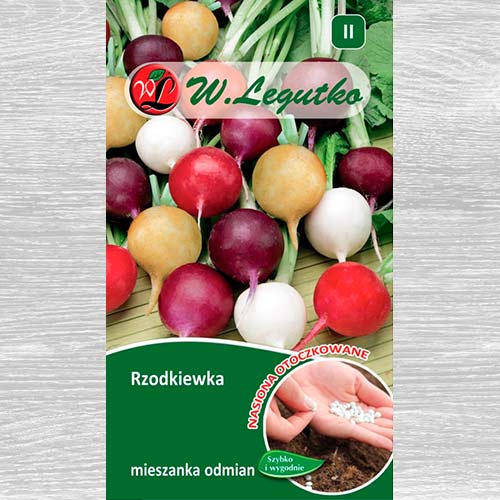 Rzodkiewka, mieszanka odmian  interface.art zdjęcie 1 Rzodkiewka, mieszanka odmian  interface.image 1 interface.art 69443