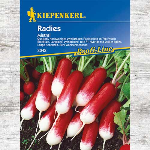 Rzodkiewka Mistral F1 interface.image 1 interface.art 86511