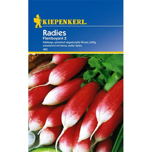 Rzodkiewka Flamboyant 2 interface.image 1 interface.art 96650