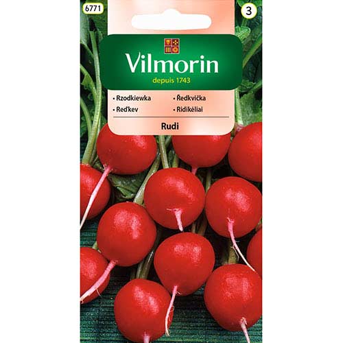 Rzodkiewka Rudi Vilmorin interface.image 1 interface.art 77751