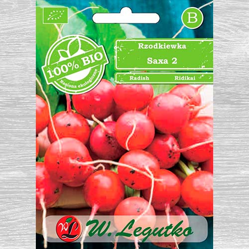 Rzodkiewka Saxa 2  interface.art zdjęcie 1 Rzodkiewka Saxa 2  interface.image 1 interface.art 69442