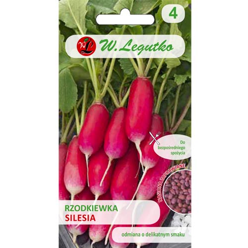 Rzodkiewka Silesia interface.image 1 interface.art 50140