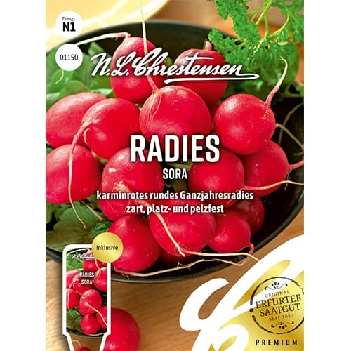 Rzodkiewka Sora interface.image 1 interface.art 78736