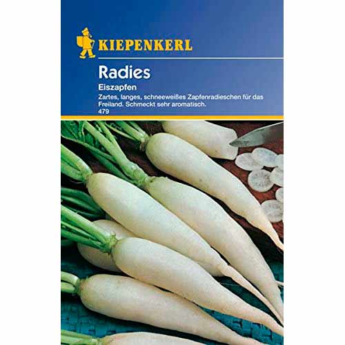 Rzodkiewka White Icicle     interface.image 1 interface.art 96653