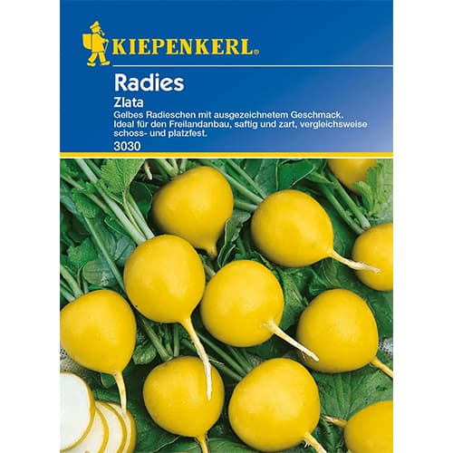 Rzodkiewka Zlata interface.art zdjęcie 1 Rzodkiewka Zlata interface.image 1 interface.art 96654