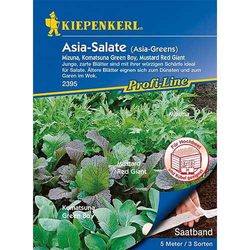 Salata lisciowa nasiona na tasmie Asia-Greens, mix odmian interface.image 1 interface.art 87291