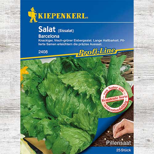 Sałata dębolistna Barcelona interface.image 1 interface.art 86446