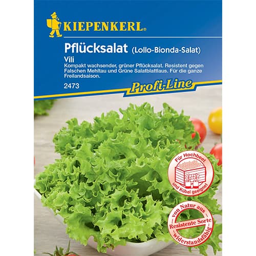 Sałata lisciowa Vili interface.image 1 interface.art 96649