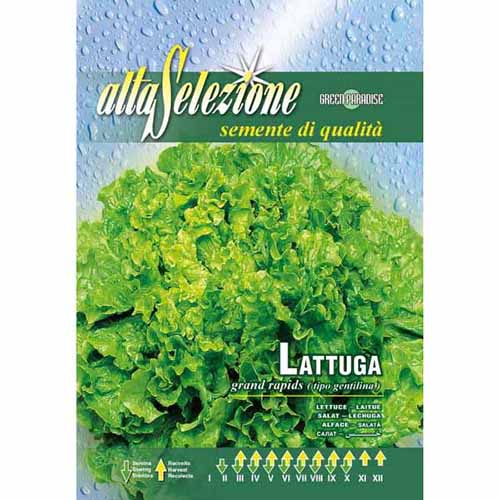 Salata Gentilina Morami interface.image 1 interface.art 87171