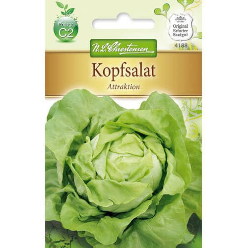 Salata glowiasta Attraktion interface.image 1 interface.art 78768