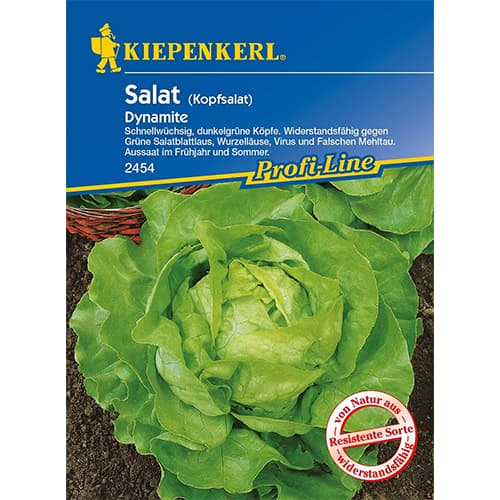 Salata glowiasta Dynamite interface.image 1 interface.art 86461