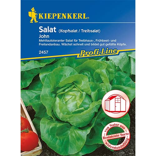 Salata glowiasta John interface.image 1 interface.art 96626