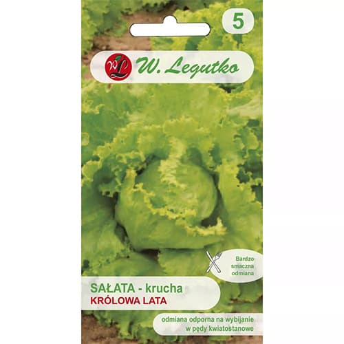 Sałata głowiasta Krolowa Lata interface.image 1 interface.art 78499