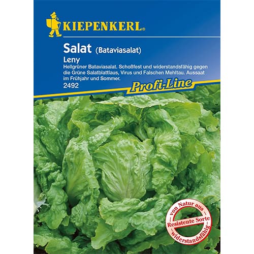 Salata glowiasta Leny interface.image 1 interface.art 96595