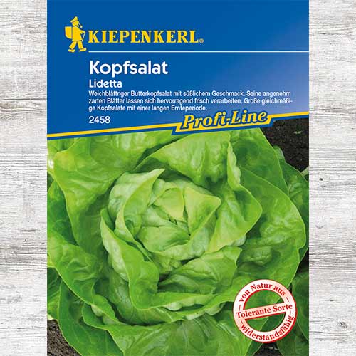 Sałata głowiasta Lidetta interface.image 1 interface.art 86463