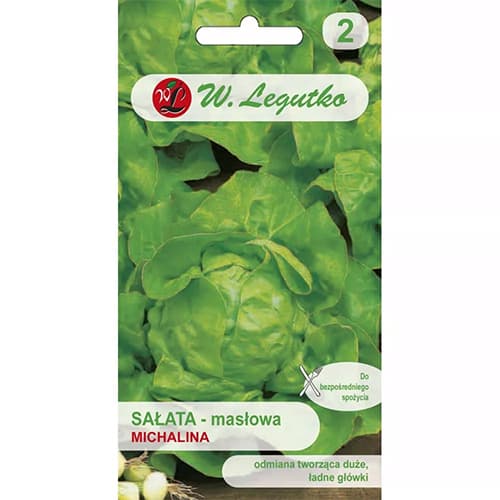 Sałata głowiasta Michalina interface.image 1 interface.art 86901