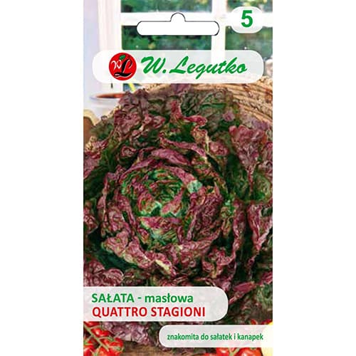 Sałata głowiasta Quattro Stagioni interface.art zdjęcie 1 Sałata głowiasta Quattro Stagioni interface.image 1 interface.art 69540