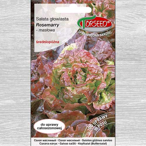 Sałata głowiasta masłowa Rosemarry interface.art zdjęcie 1 Sałata głowiasta masłowa Rosemarry interface.image 1 interface.art 77644