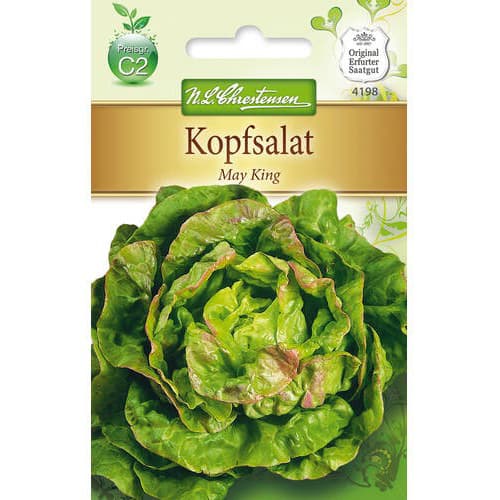 Salata glowiasta May King interface.art zdjęcie 1 Salata glowiasta May King interface.image 1 interface.art 78770