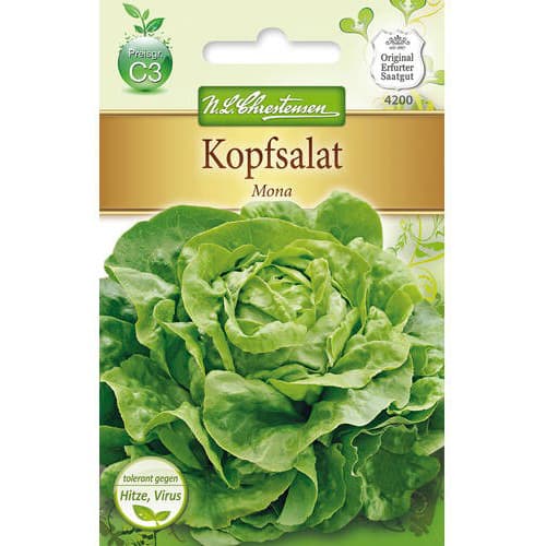 Salata glowiasta Mona interface.image 1 interface.art 78771