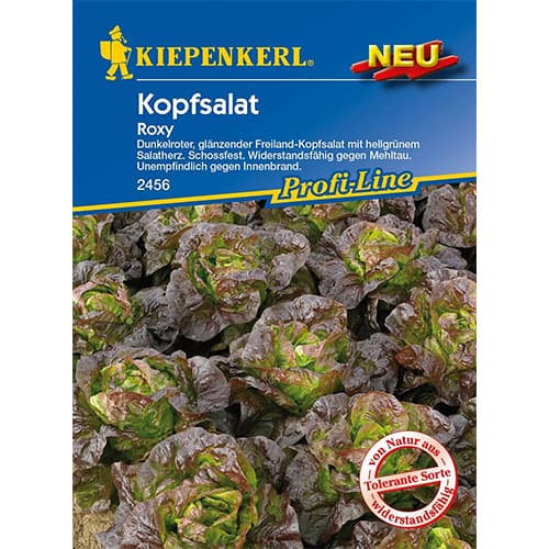 Salata glowiasta Roxy interface.art zdjęcie 1 Salata glowiasta Roxy interface.image 1 interface.art 96627