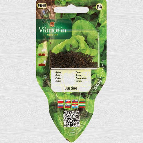 Sałata Justine interface.image 1 interface.art 69743