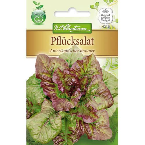 Sałata lisciowa Amerikanischer Brauner interface.image 1 interface.art 78777
