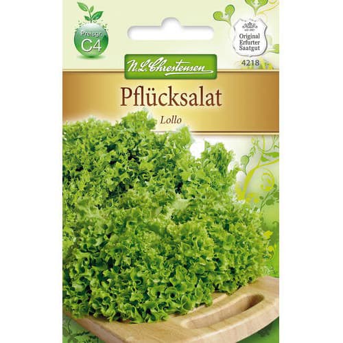 Sałata lisciowa Lollo interface.image 1 interface.art 78778