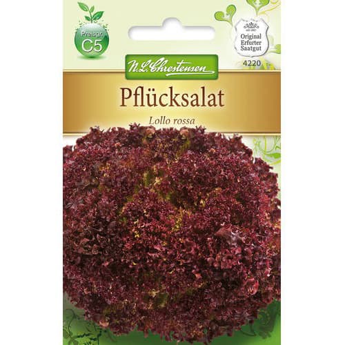 Sałata lisciowa Lollo Rossa interface.image 1 interface.art 78779