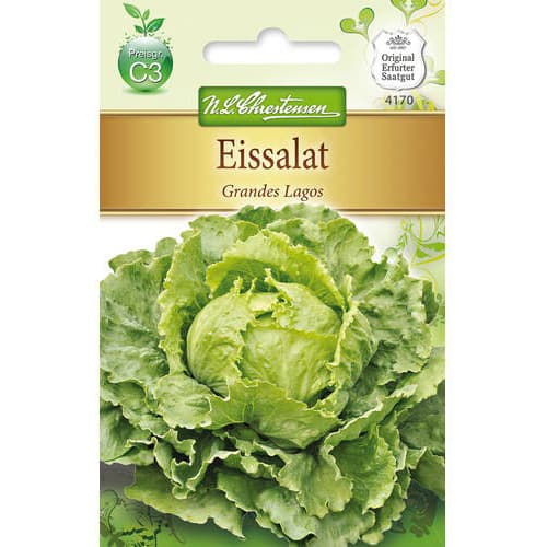 Salata glowiasta Grandes Lagos interface.art zdjęcie 1 Salata glowiasta Grandes Lagos interface.image 1 interface.art 78761