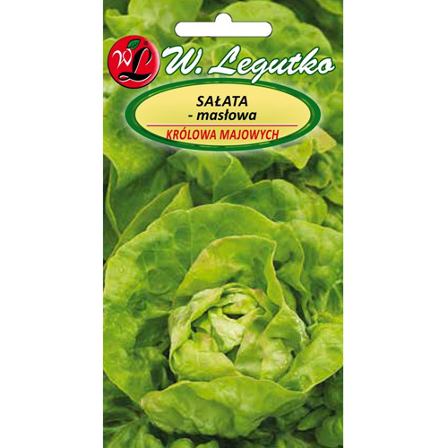 Sałata głowiasta masłowa May King (Królowa Majowych) Legutko interface.image 1 interface.art 69539