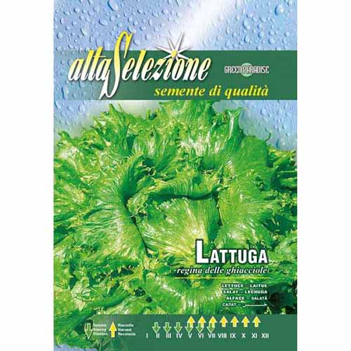 Sałata Regina delle ghiacciole Morami interface.image 1 interface.art 96396