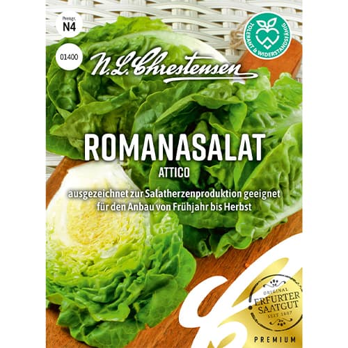 Salata rzymska Attico interface.image 1 interface.art 86092