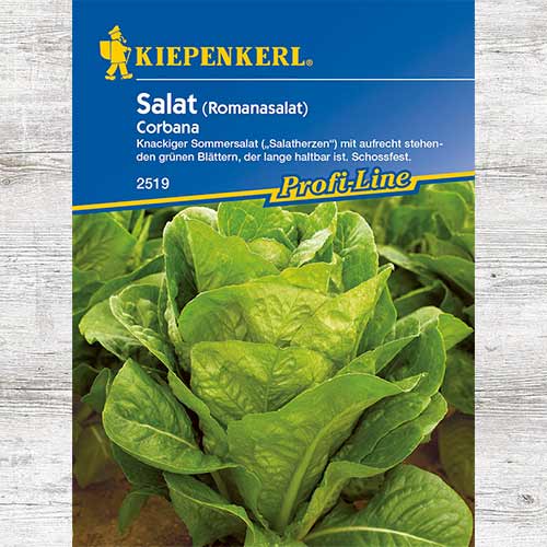 Sałata rzymska Corbana interface.image 1 interface.art 86516