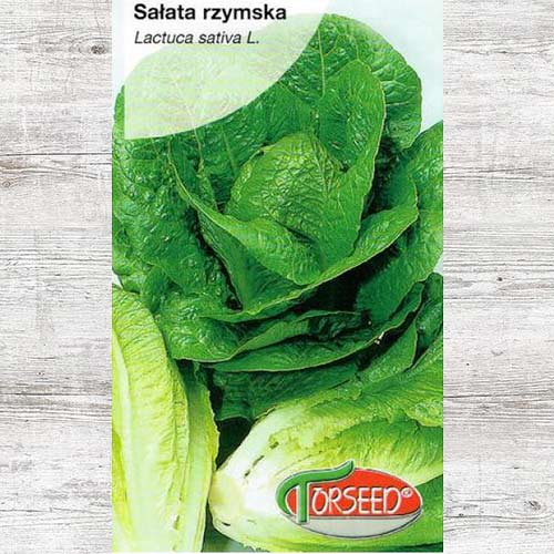 Sałata rzymska Liwia interface.art zdjęcie 1 Sałata rzymska Liwia interface.image 1 interface.art 86957
