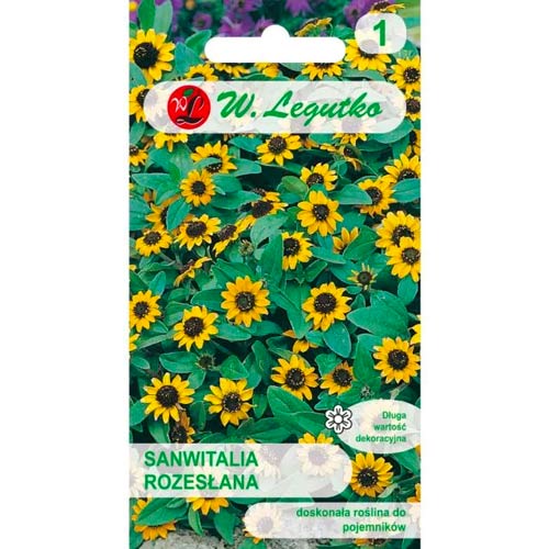 Sanwitalia rozeslana interface.image 1 interface.art 50118