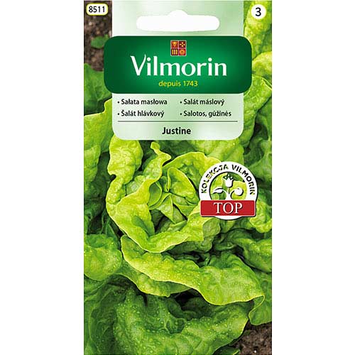 Seler liściowy Jemny Vilmorin interface.image 1 interface.art 77757