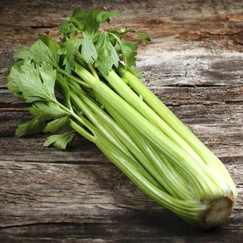 Seler naciowy Groene Pascal interface.image 1 interface.art 66751