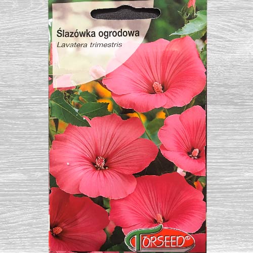 Ślazówka różowa interface.art zdjęcie 1 Ślazówka różowa interface.image 1 interface.art 77587