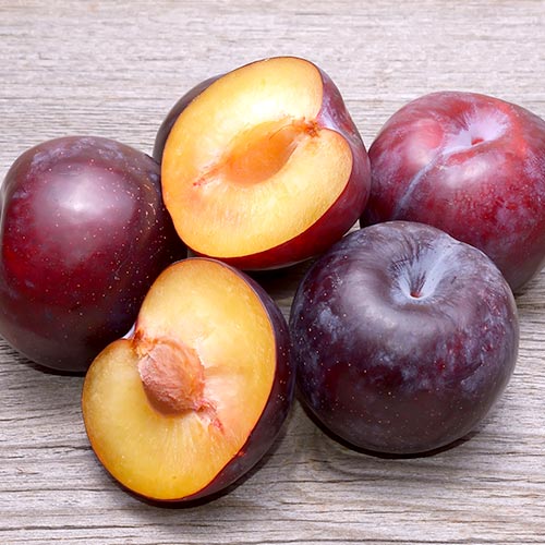 Śliwa Angeleno interface.image 1 interface.art 4308