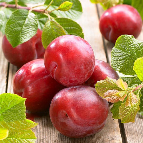 Śliwa Fortune interface.image 1 interface.art 7962