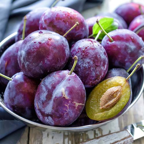 Śliwa węgierka interface.art zdjęcie 1 Śliwa węgierka interface.image 1 interface.art 8671