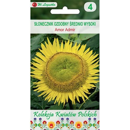 Słonecznik ozdobny Amor Admir interface.image 1 interface.art 86732